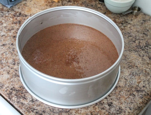 Batter in a cake pan