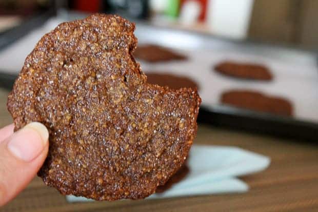 Ginger Molasses Cookies – Gluten & Dairy Free