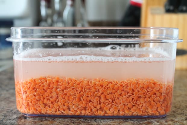 Red lentils soaking in water
