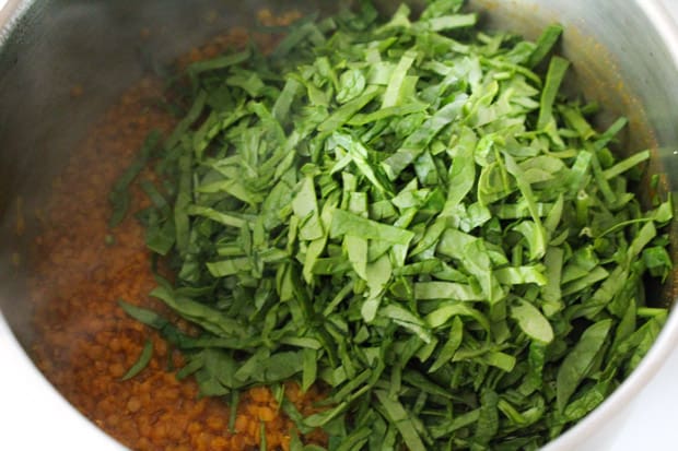 Spinach in a pot of dahl