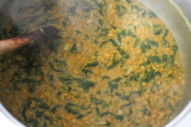 Spinach & Red Lentil Dahl being stirred in a pot