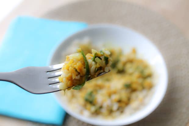 Spinach & Red Lentil Dahl and rice on a fork