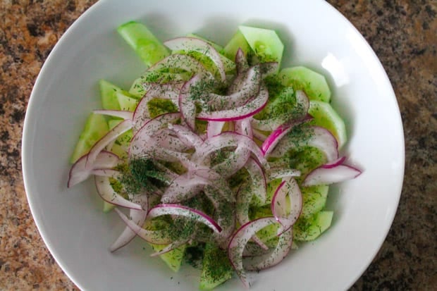 Cucumbers, onion and seasonings in a bowl ready for mixing