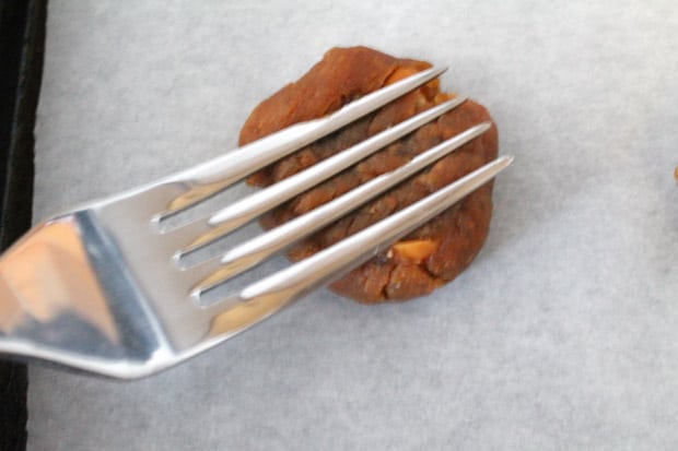 a fork pressing into a ball of cookie dough making a crisscross pattern