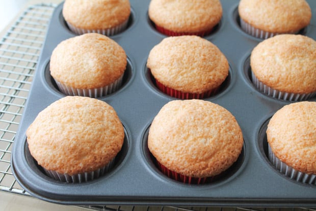 freshly baked cupcakes in a muffin tin