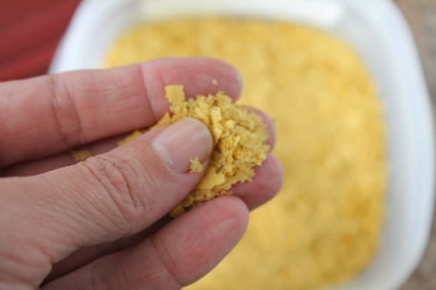 Nutritional yeast on a persons fingers