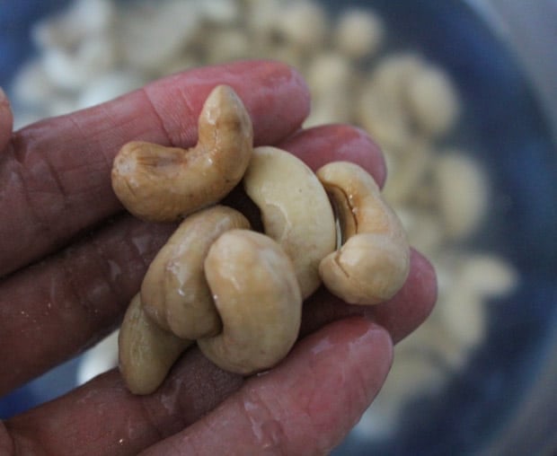 Soaked cashews being shown to the camera