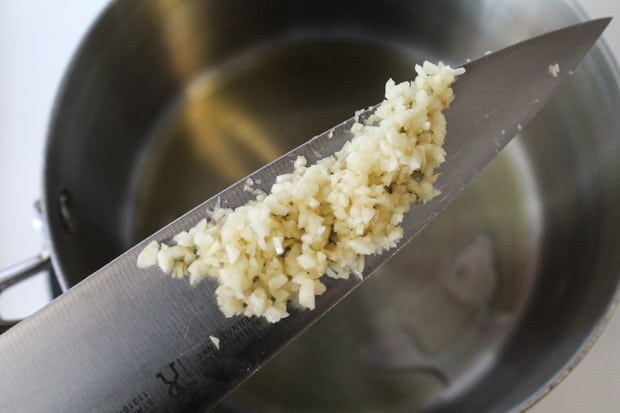 knife with minced garlic on the blade