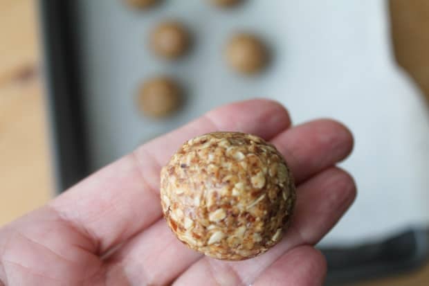 Coconut Almond Butter Energy Balls-024