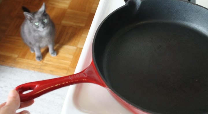 Cast iron pan on a stove with a handsome grey cat in the background