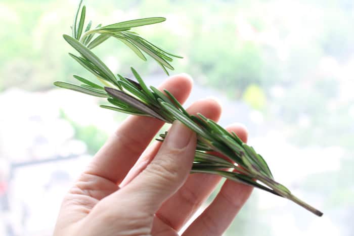 Rosemary-Caramelized-Onion-Dip-