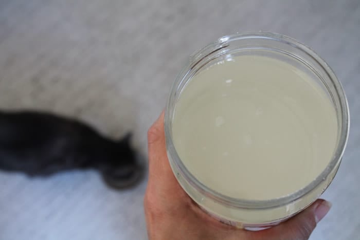 A hand holding liquid coconut oil in a jar with a cat eating in the background