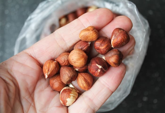 hazelnuts being held in a hand