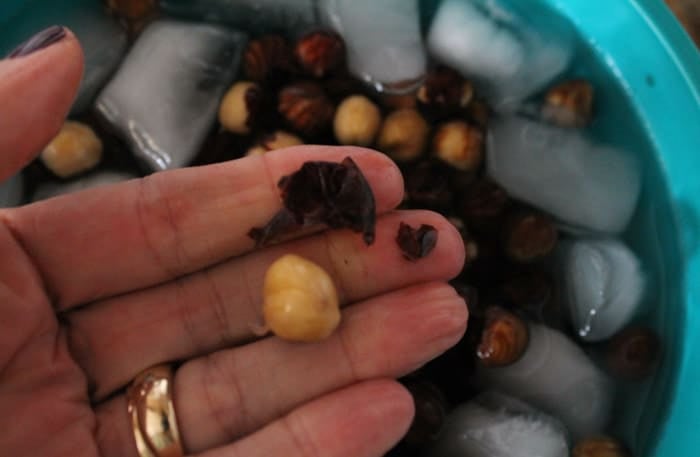 a peeled hazelnut from an ice bath