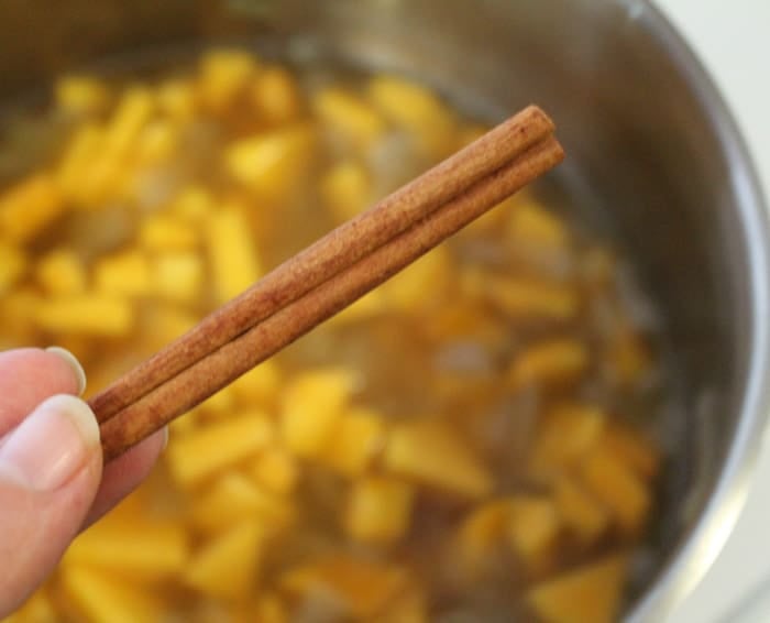 a hand holding a cinnamon stick over a pot of simmering squash