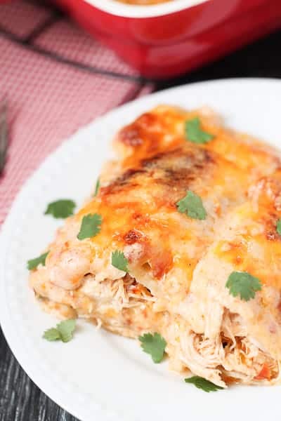 Chicken Enchiladas on a white plate with a red casserole dish and red checkered napkin in the background