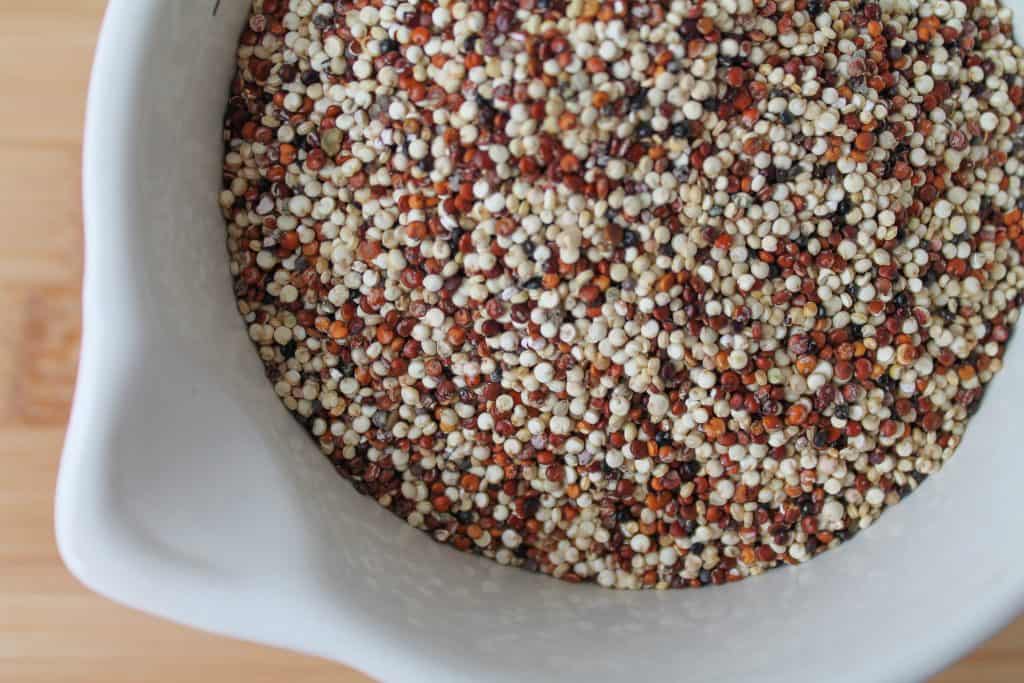 tri colour quinoa in a measuring cup