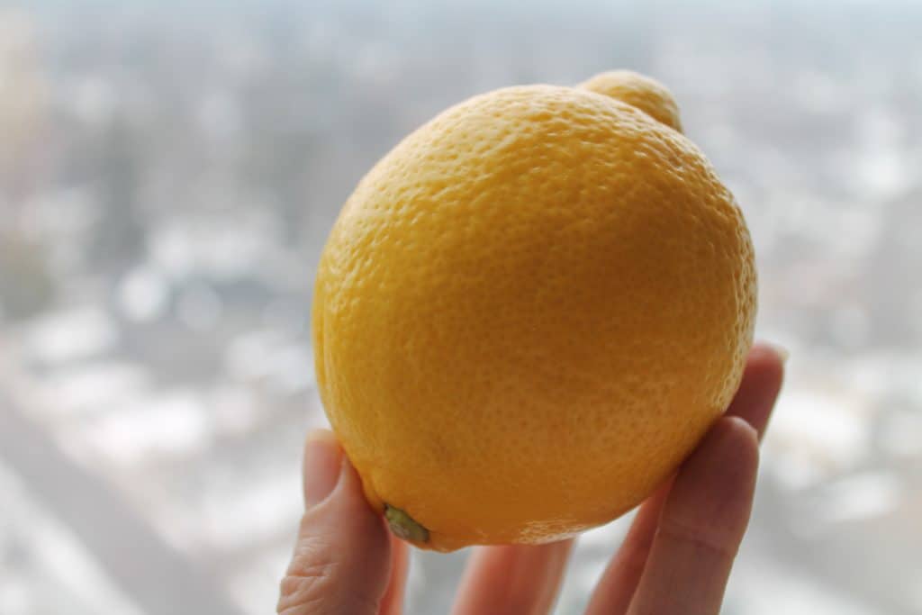 a hand holding a whole lemon