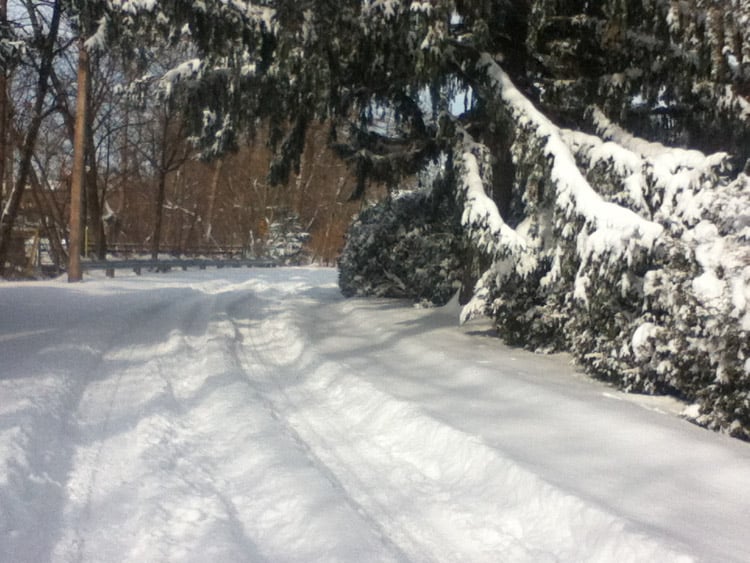 a road and trees covered in snow from 2015