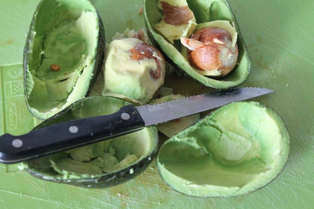 Crunchy Chicken Avocado Salad