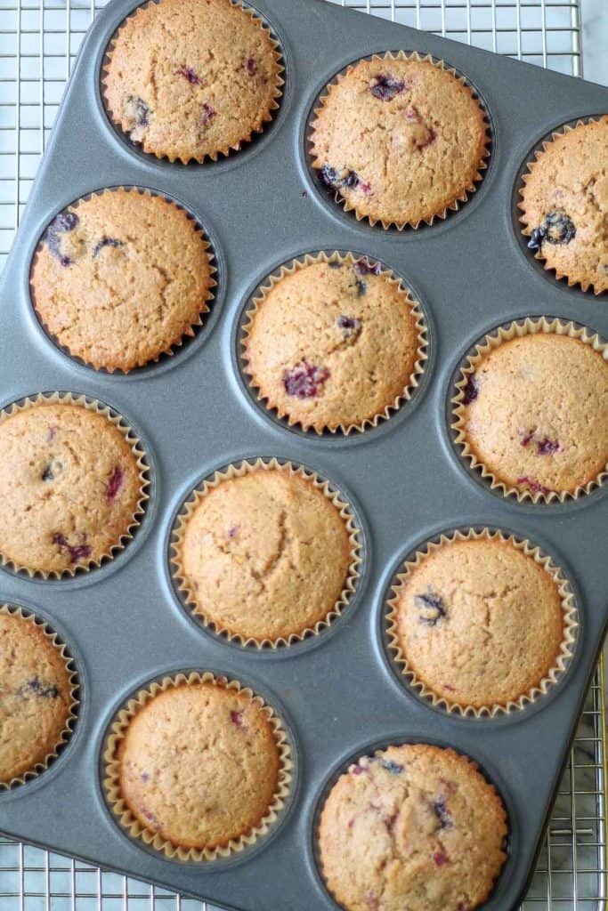 Fresh baked muffins in a muffin tin