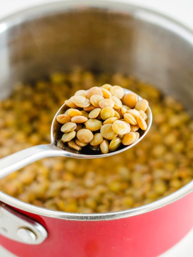 a spoon of cooked lentils.