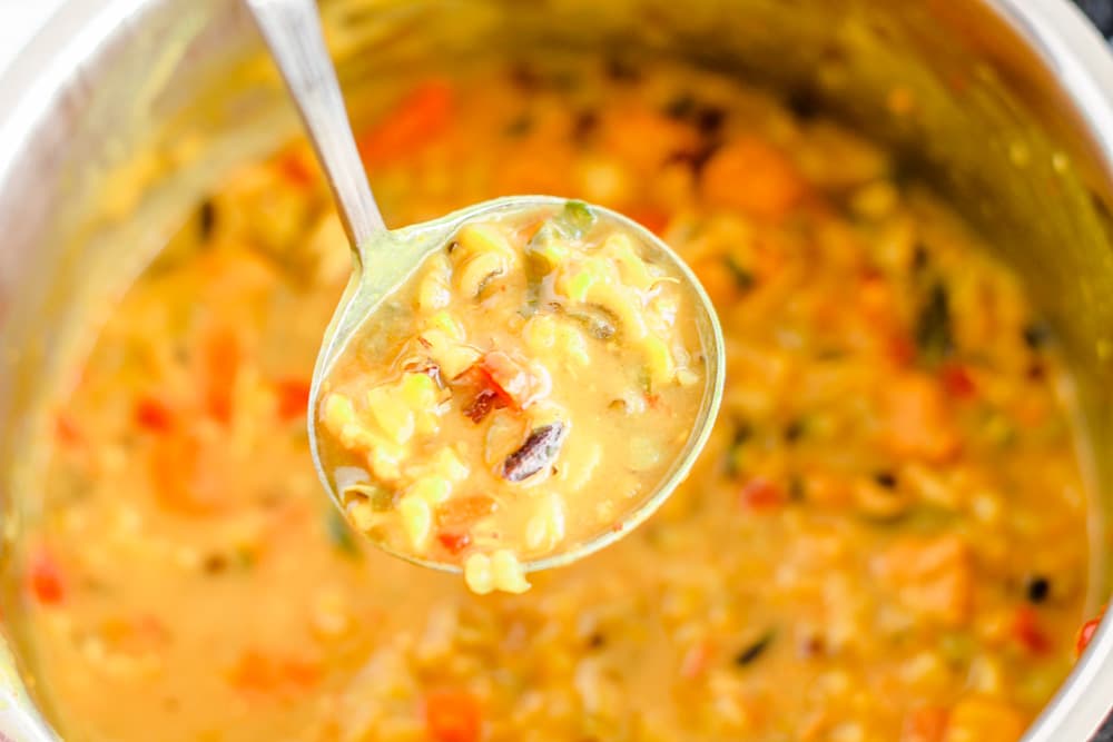 a ladle of creamy stew.