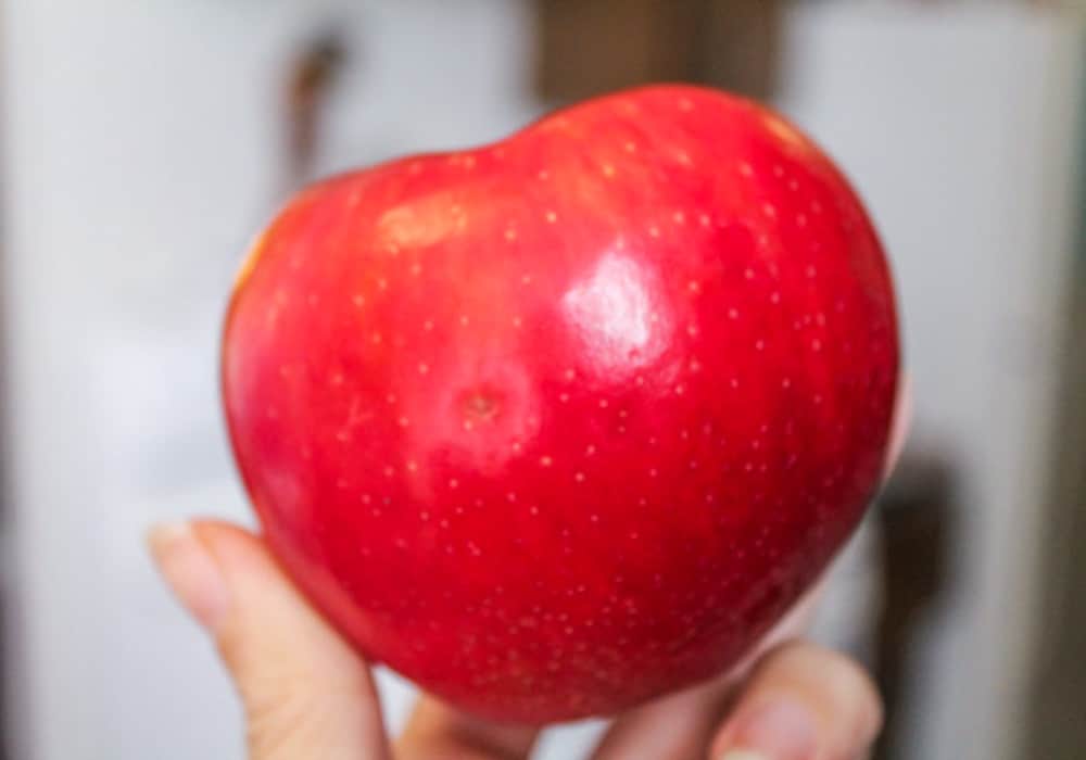 a hand holding a red apple.