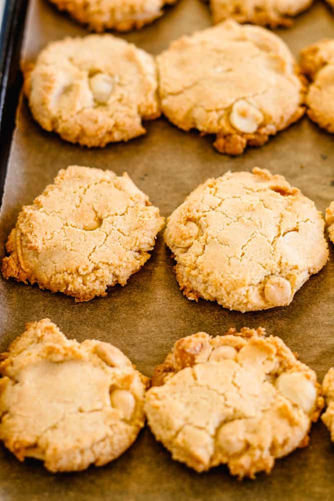 a tray of freshly baked white chocolate macadamia nut cookies.
