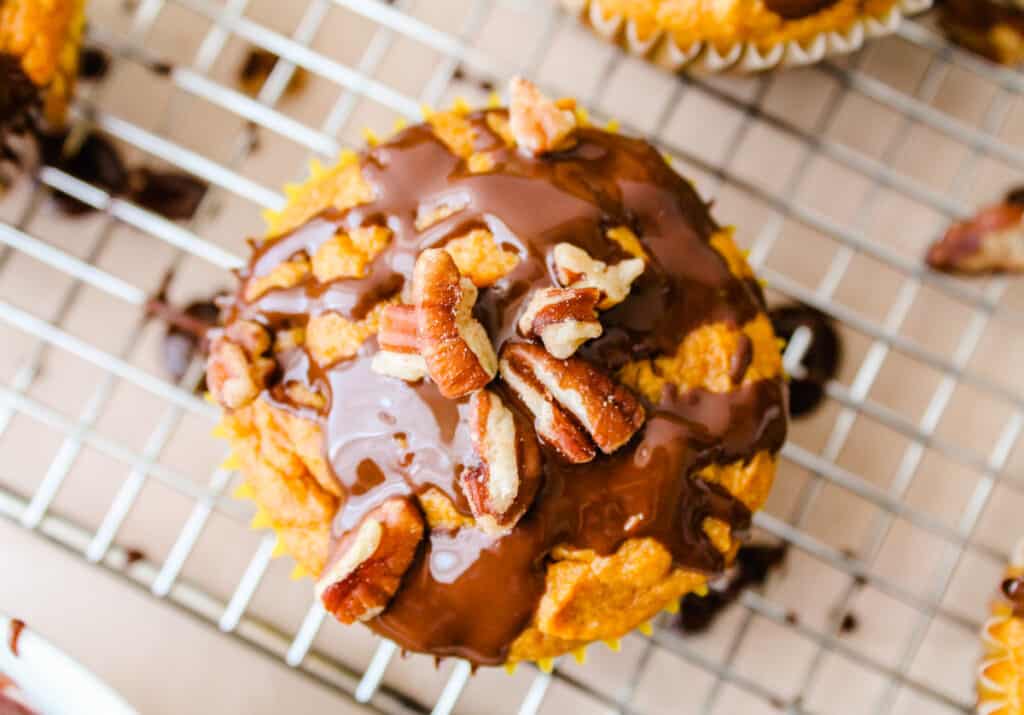 a pumpkin muffin with chocolate drizzled on top.