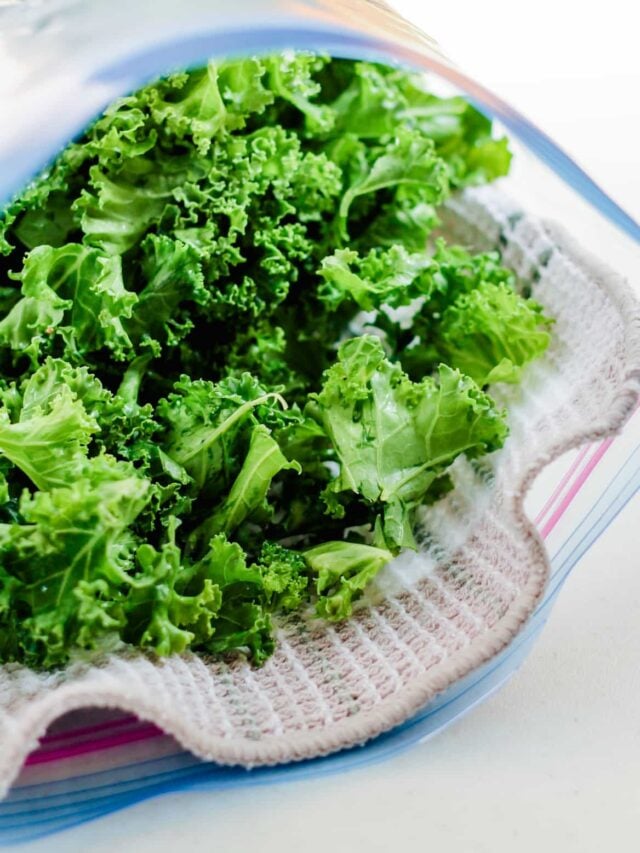 How to Wash and Store Kale and Keep it Fresh