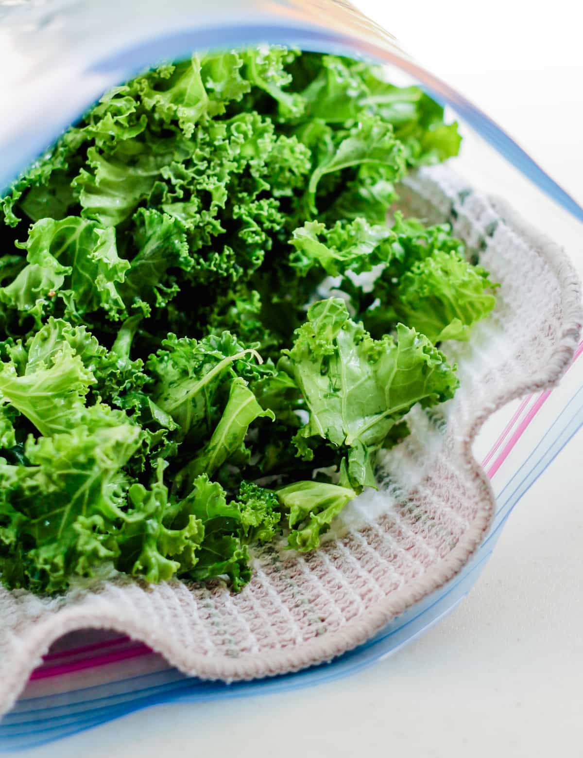 a ziploc bag lined with a kitchen cloth and stuffed with leafy greens.