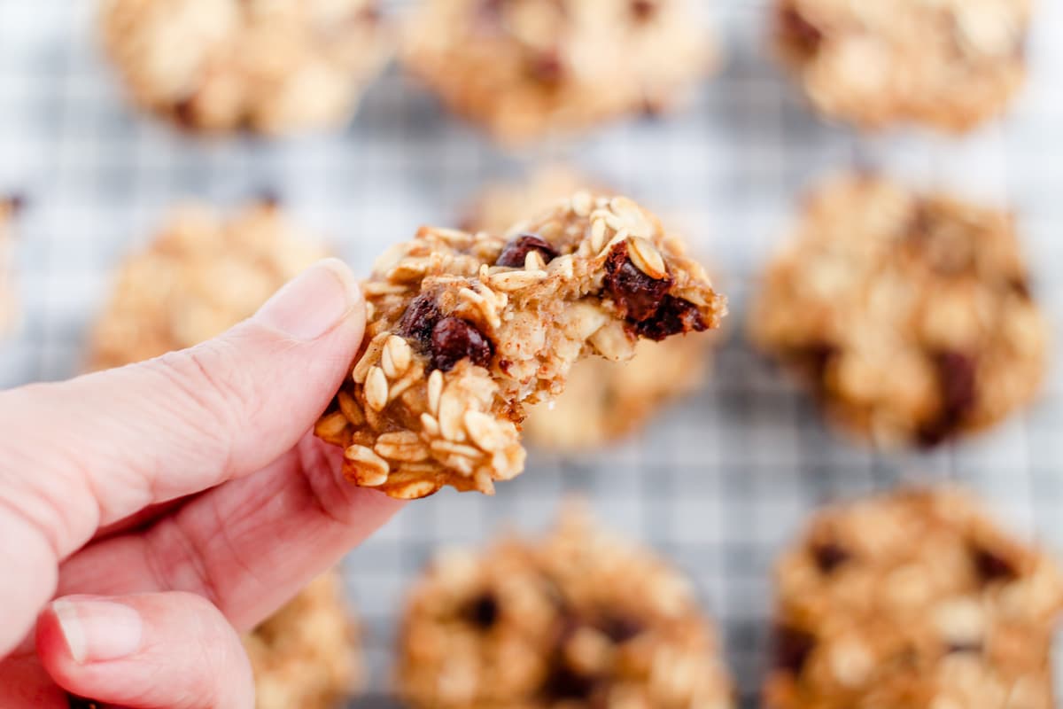 A hand holding a 3-ingredient oatmeal cookie.