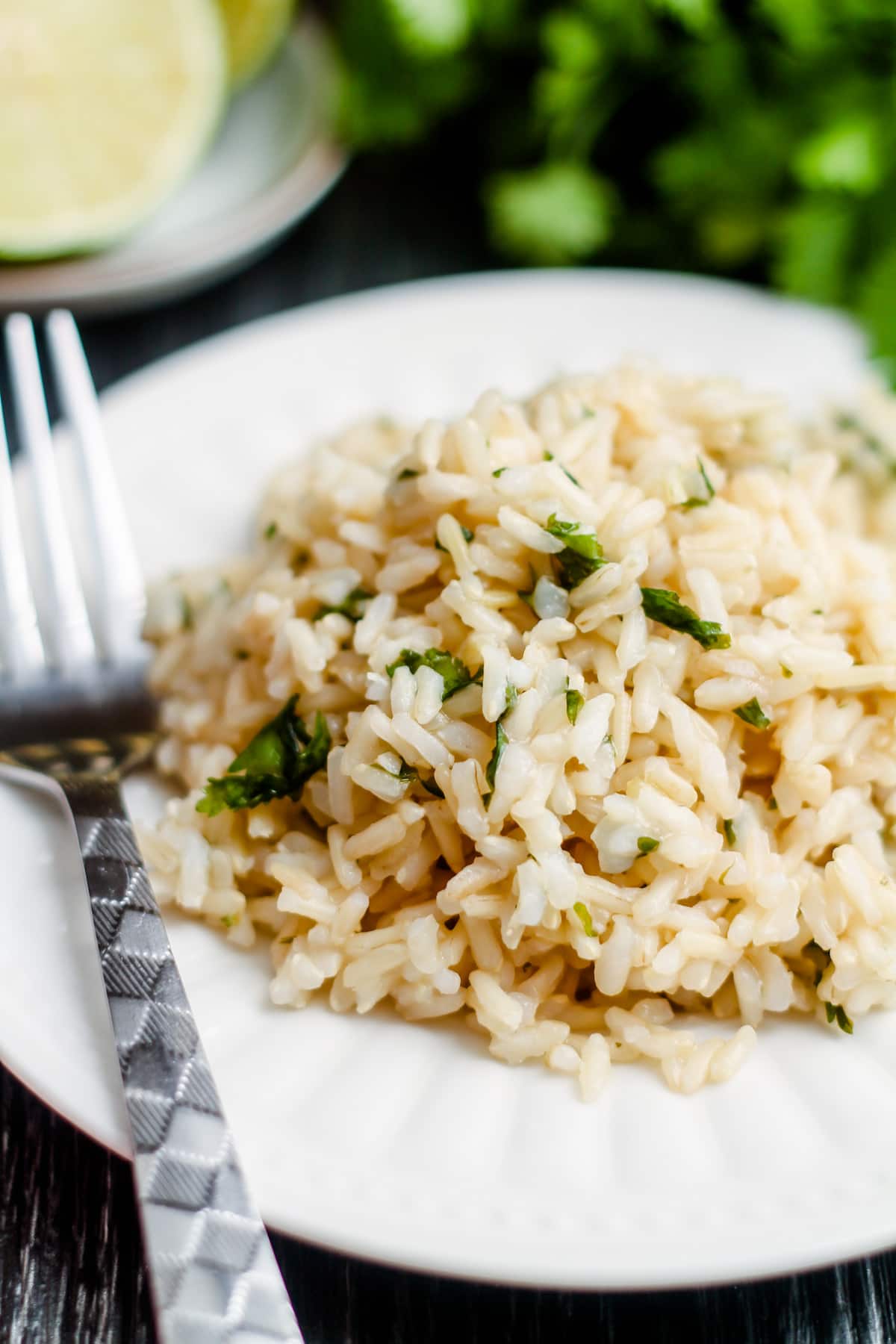A plate of cilantro lime brown rice.