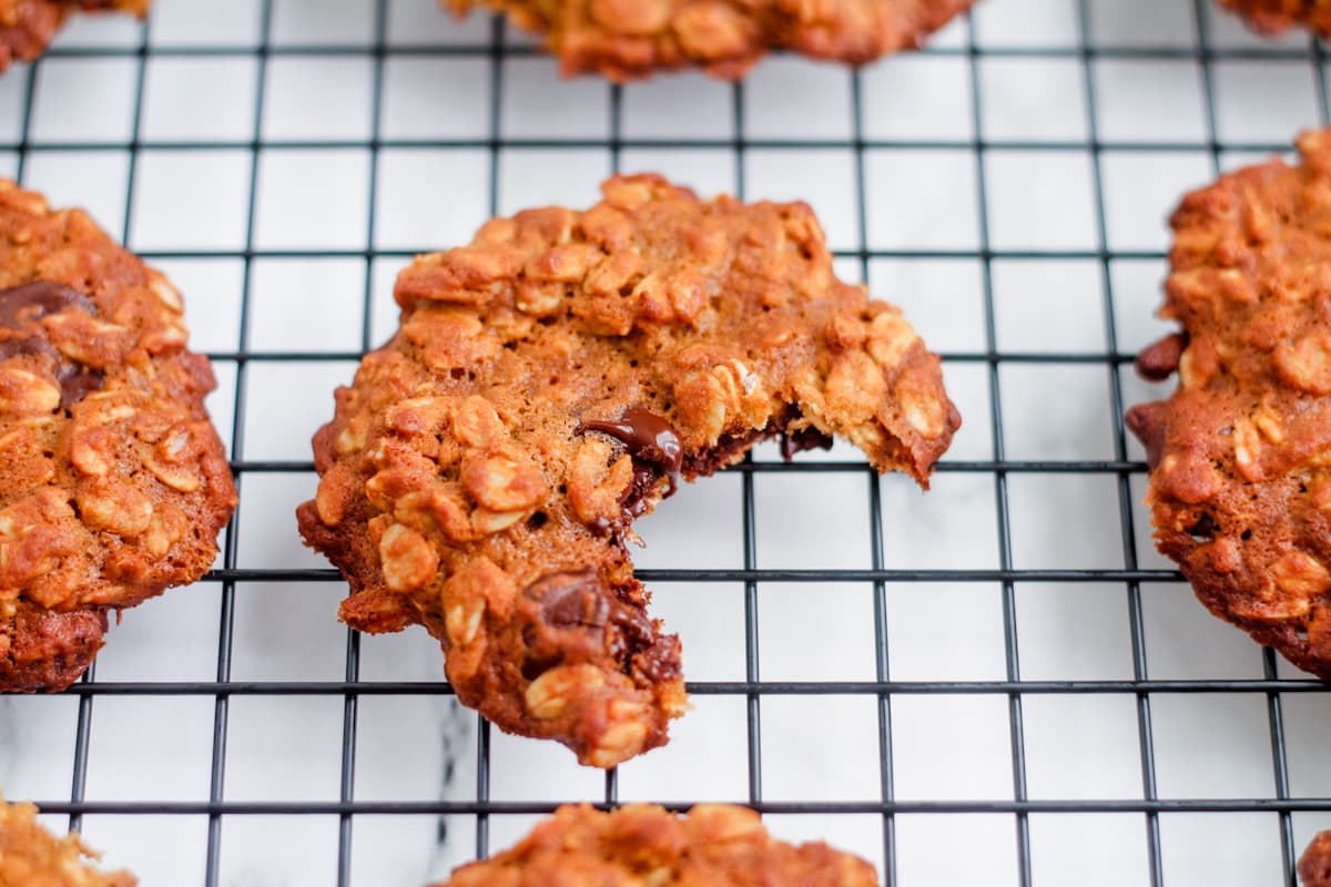 A flourless oatmeal cookie with a bite out of it.