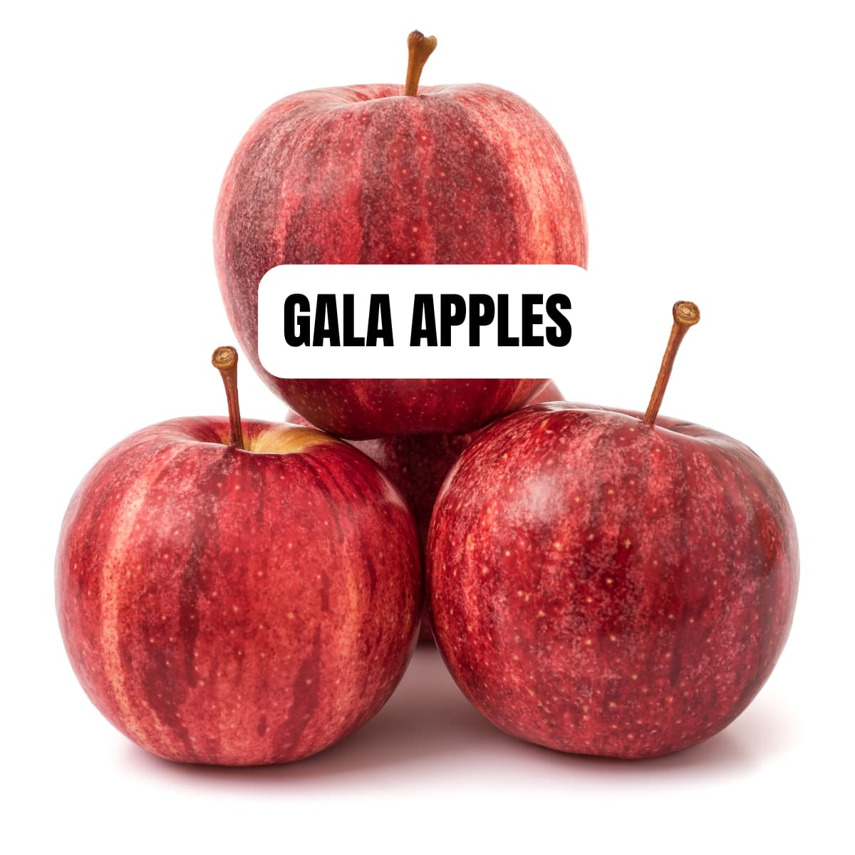 Gala apple on a counter.