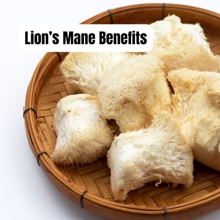 Lion’s Mane Benefits