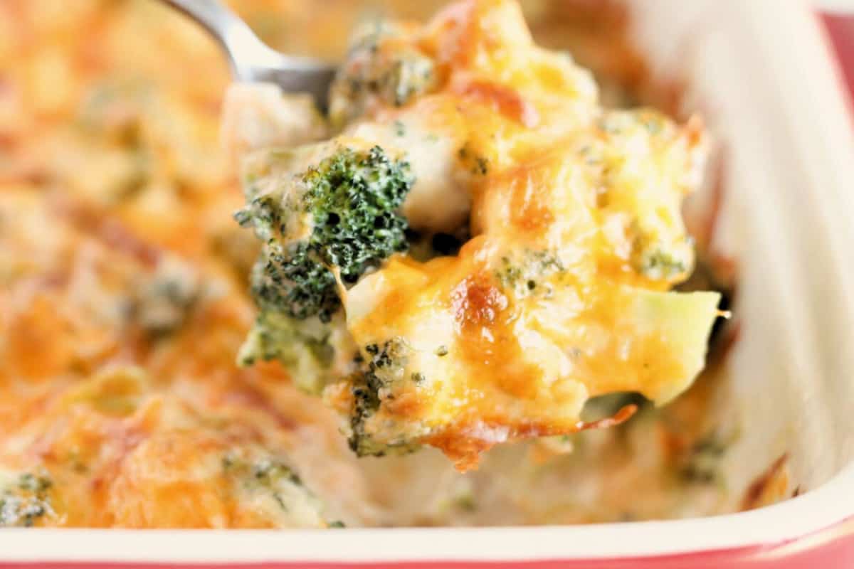 A spoonful of chicken broccoli bake.