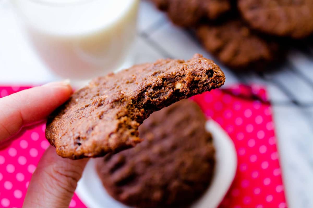 A hand holding a chocolate protein cookie.