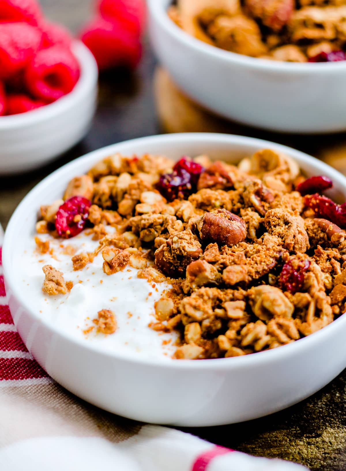 A bowl of protein granola with fresh raspberries in the background.