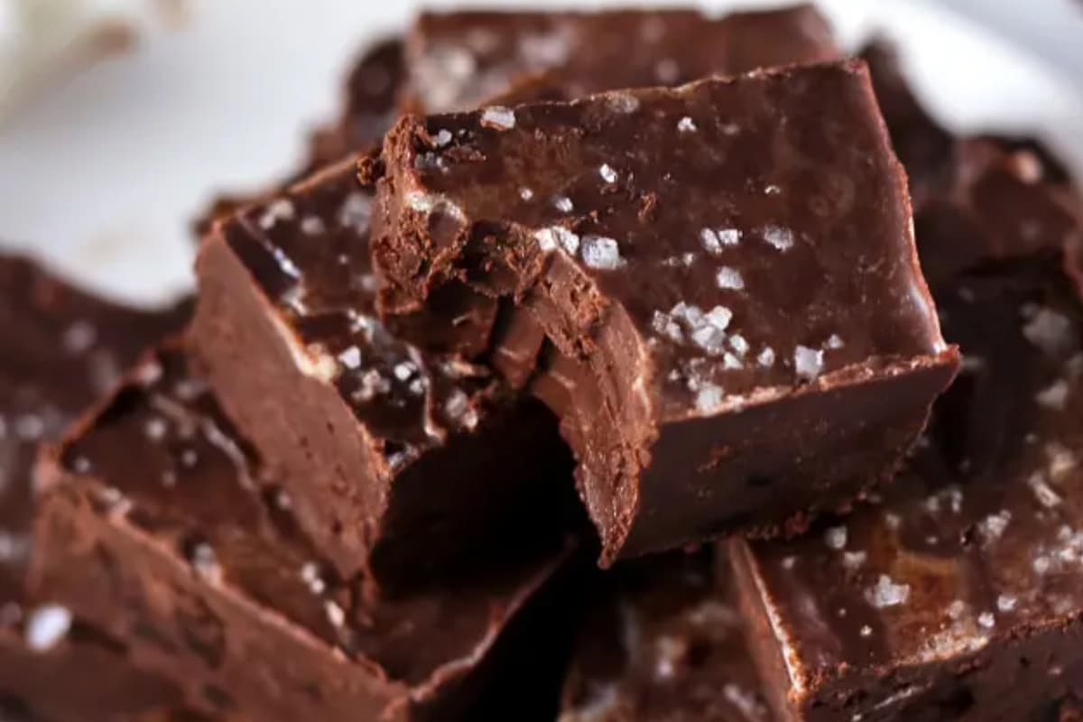 A plate of chocolate fudge.