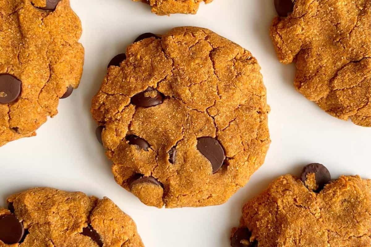 A plate of coconut flour pumpkin cookies.