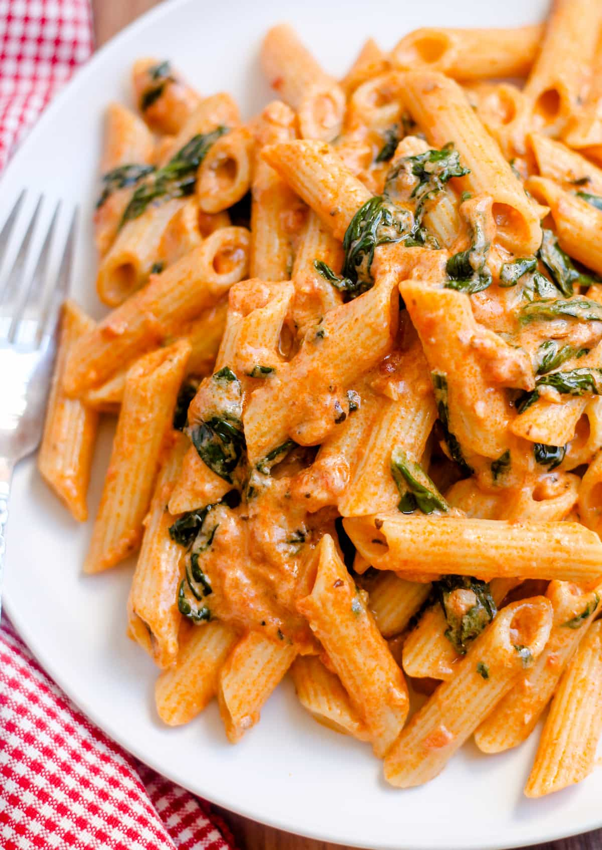 Overhead image of a plate of creamy tomato spinach pasta.