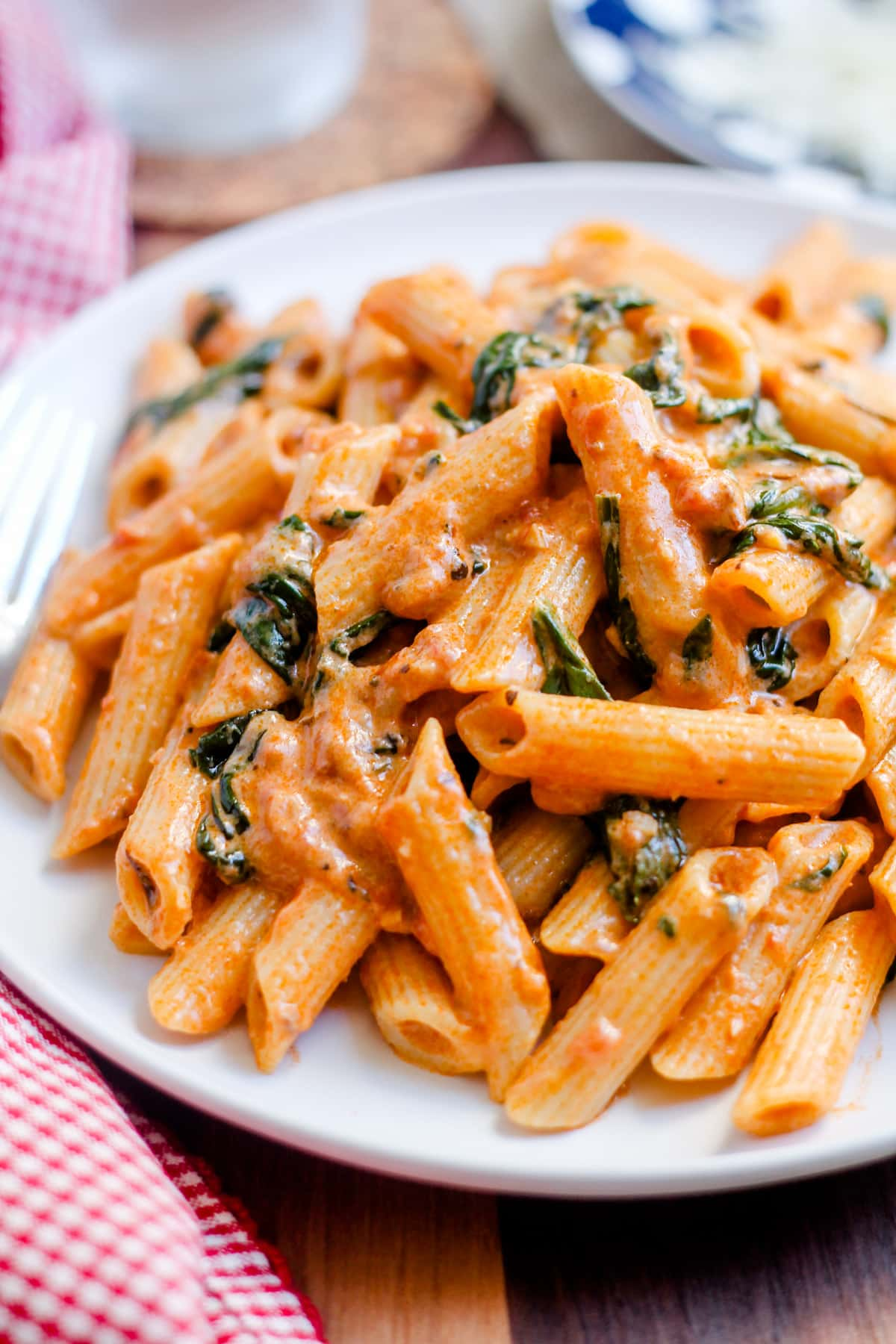 A plate of creamy tomato spinach pasta.