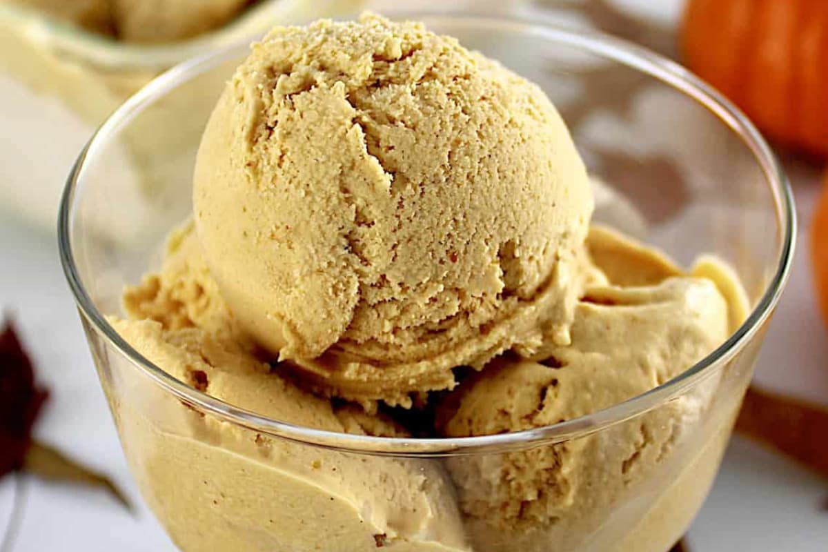 A dish of pumpkin ice cream.