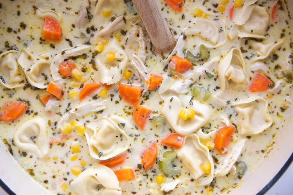 A bowl of creamy chicken tortellini.