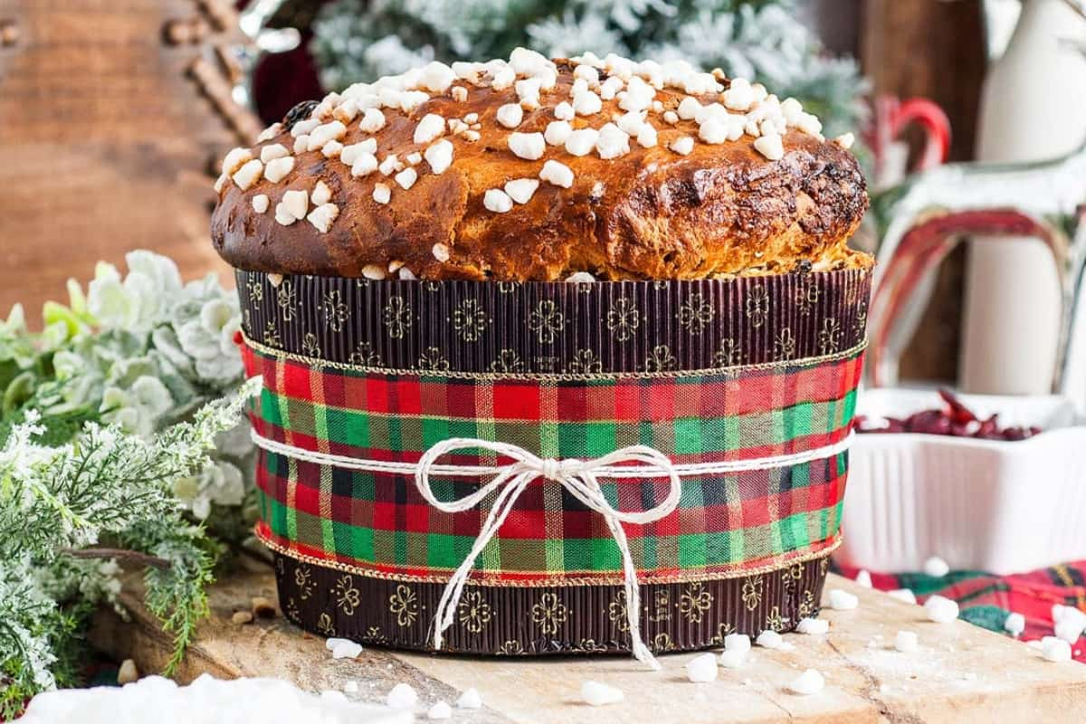 A panettone on a counter.