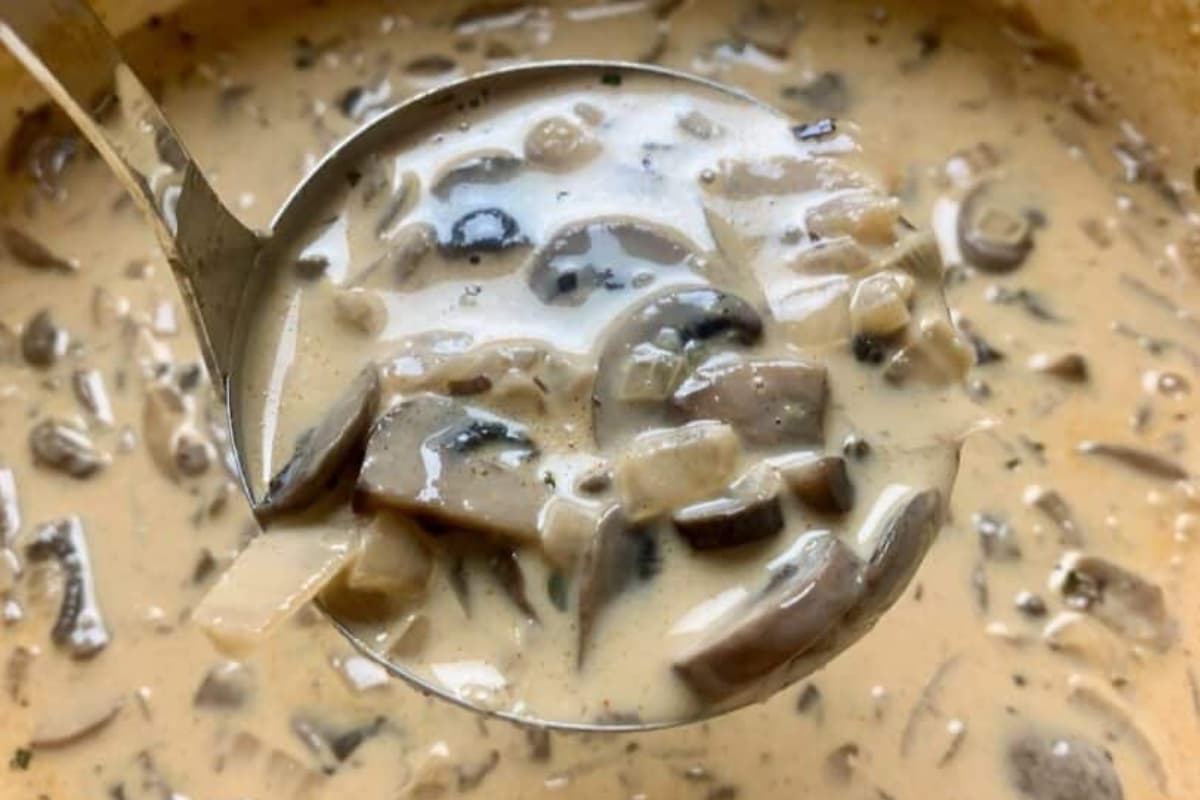 A ladle of cream of mushroom soup.