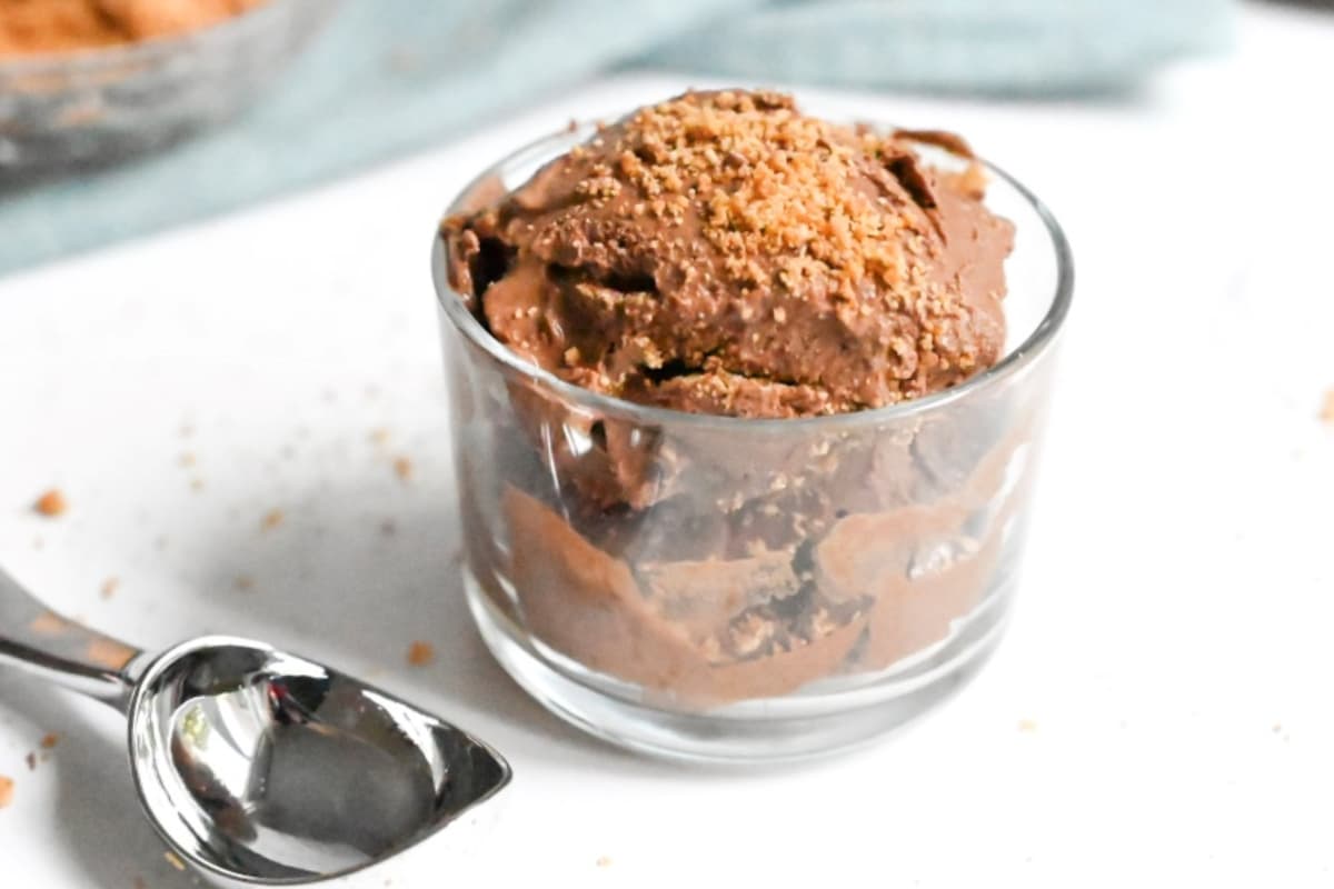 A dish of chocolate protein ice cream.