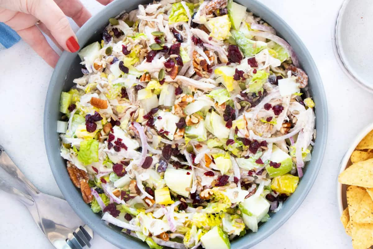 A bowl cranberry pecan chicken salad.